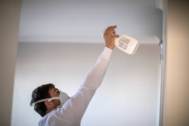 Trusted Clarkston Heights Vineland, WA Mold Removal Experts