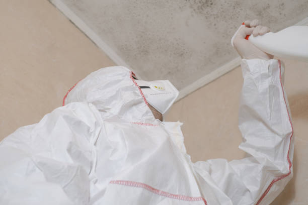 Best Mold Removal Company Near Me  in Clarkston Heights Vineland, WA